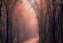 斯托克城主场失利阿森纳，遭遇困境