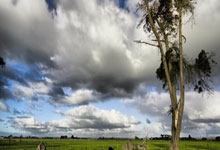 捷克共和国队打破困境，欧洲杯资格前途光明