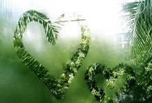 德国备战斯洛文尼亚挑战，比利时等你助威