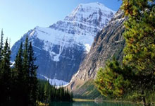 中国击剑选手斗智斗勇，成功摘金