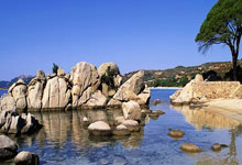 澳大利亚队前路障碍重重，欧洲杯资格渺茫