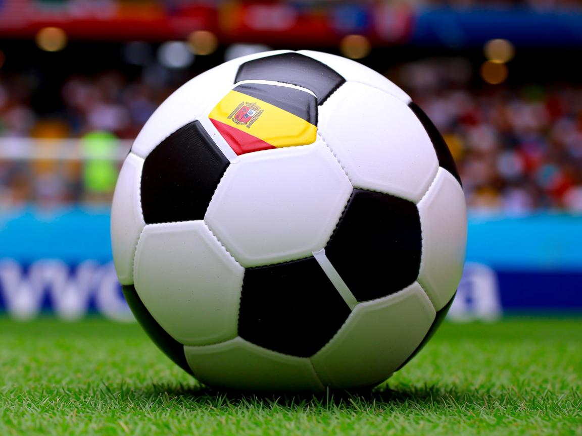 db电竞 官网-埃及队未来发展：如何跻身世界乒乓强国，埃及乒乓球发展状况